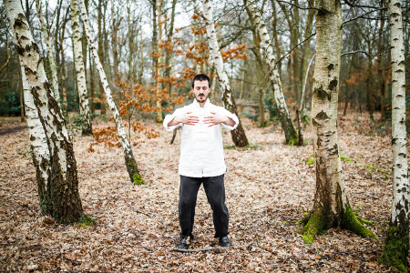 taiji qigong arbre
